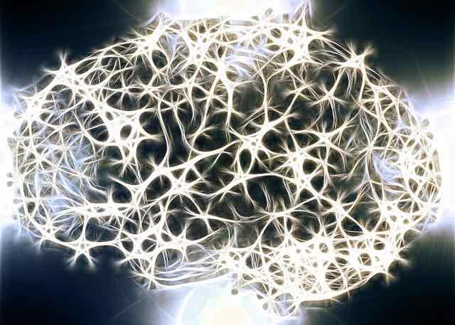 neuronios