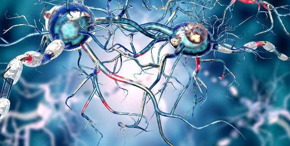 epilepsia