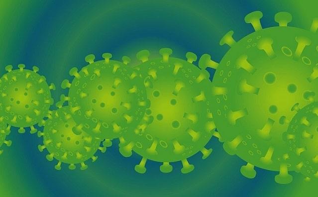 coronavírus em imagem digital