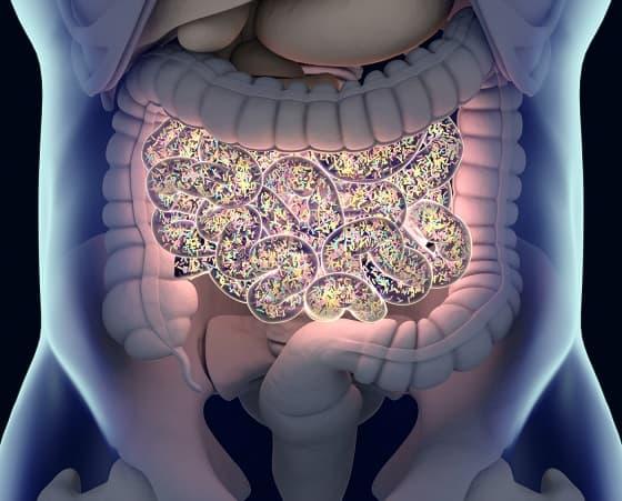 Representação gráfica do supercrescimento bacteriano do intestino delgado (SCBID)