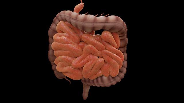 Cafeína e prucalopride após colectomia podem reduzir tempo de retorno da função intestinal?