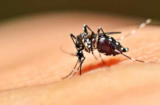 Zika vírus: Atualização para Pediatras