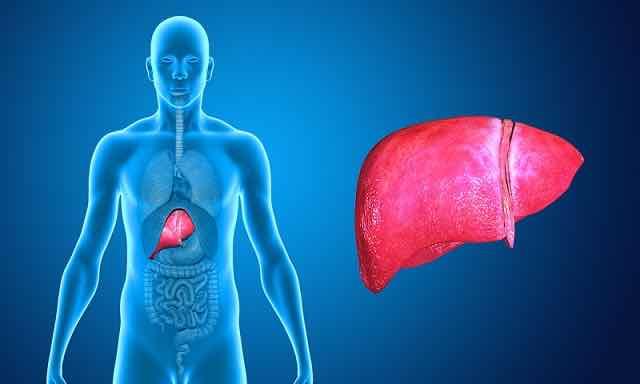 Hepatite C: indicação de tratamento e escolha terapêutica (conduta médica em Hepatologia)