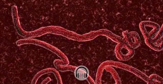 imagem do vírus ebola
