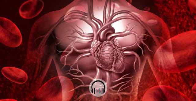 animação do sistema circulatório humano
