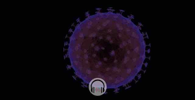 vírus da hepatite a