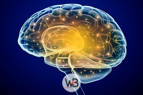 Apresentação clínica da doença de Alzheimer: quais são os sinais?