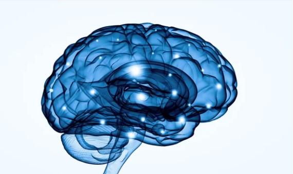 Esclerose Lateral Amiotrófica: apresentação clínica