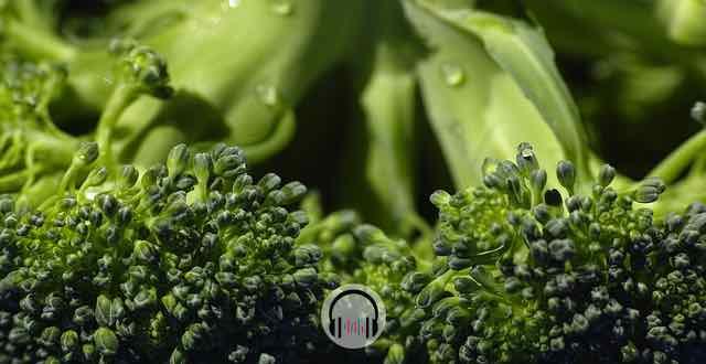 brocolis