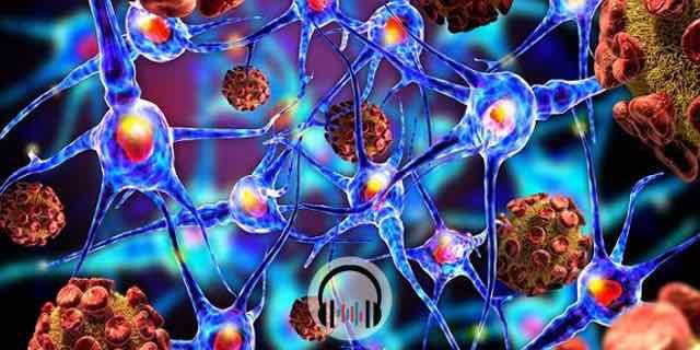 neuronios do cerebro