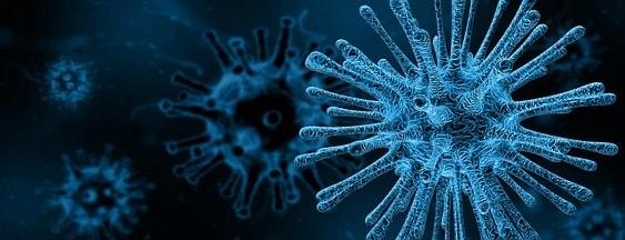 virus da influenza, que é combatido com o oseltamivir