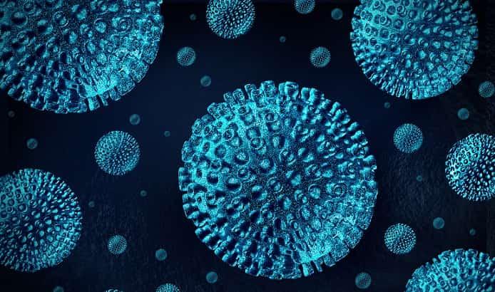 vírus em imagem digitalizada, podendo ser a cepa do novo coronavírus