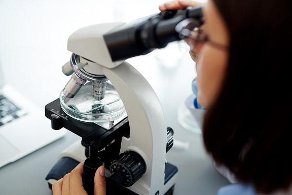 Microbiologia: em que consiste, características e utilidade da coloração de Gram