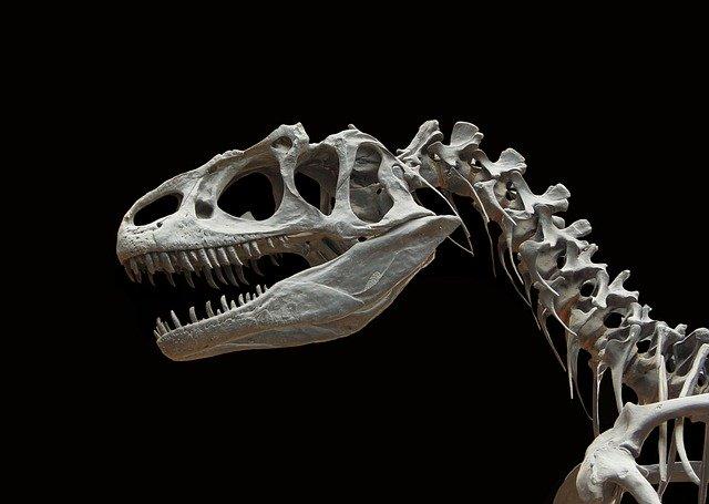 História da medicina: cientistas descobriram a presença de osteossarcoma em fóssil de dinossauro