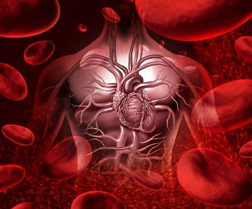 Paciente com fibrilação atrial (FA) paroxística podem encontrar na ablação e isolamento das veias pulmonares uma opção de tratamento.