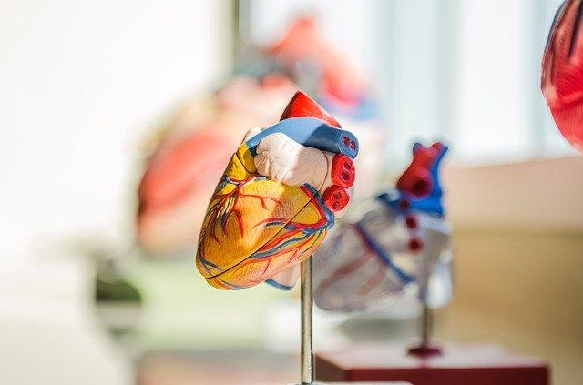 Betabloqueador após um infarto agudo do miocárdio