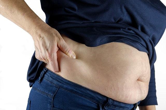 Gordura marrom: queima calorias, protege o coração e evita o diabetes
