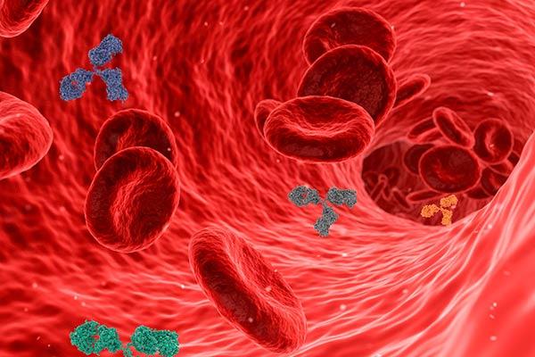 anticorpos monoclonais