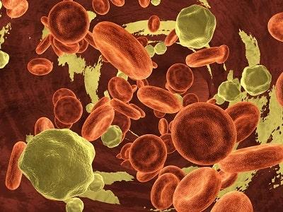 Hemostasia na infecção pelo HIV