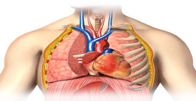 Crioablação versus antiarrítmicos para o tratamento de primeira linha da fibrilação atrial paroxística