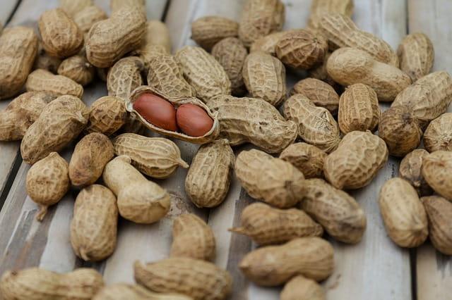 Prevalência de anafilaxia por amendoim em uma coorte: Resultados do European Anaphylaxis Registry