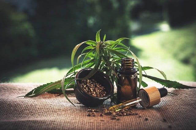 Anvisa aprova mais um produto medicinal à base de Cannabis