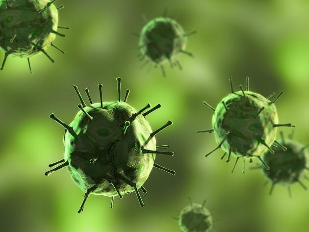 imagem do vírus causados da infecção por HCV
