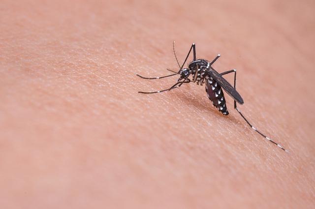 No Brasil, bebês nascidos com Zika têm maior risco de óbito nos primeiros três anos de vida