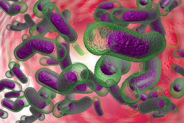 oneBR reúne informações de bactérias multirresistentes