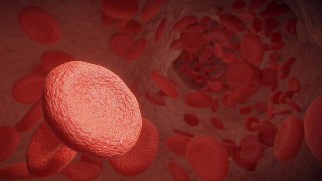 Conscientização da Hemofilia: uma doença rara que merece atenção