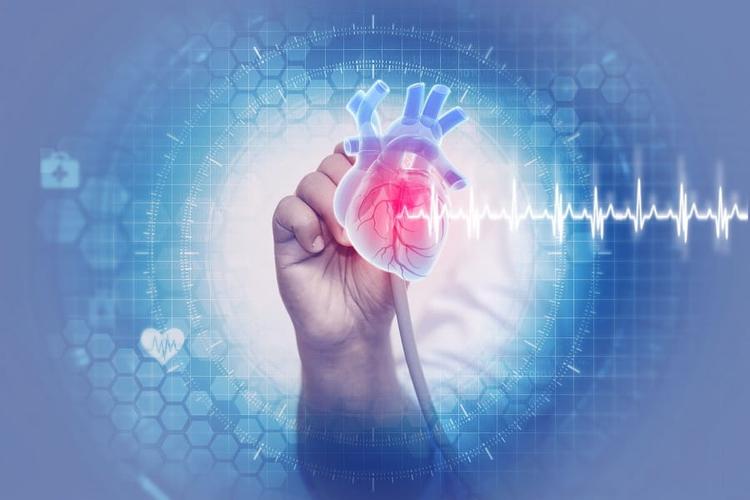 Sociedade Brasileira de Cardiologia publica diretriz de diagnóstico e tratamento de miocardites