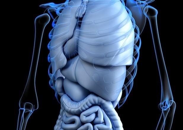 Diretriz de manejo da esteatohepatite não alcoólica no paciente magro