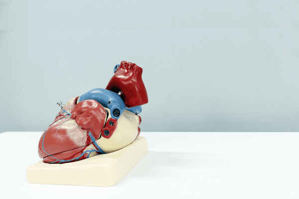 ESC 2022: Qual o resultado dos 5 anos de estudo de rastreamento de doenças cardiovasculares?