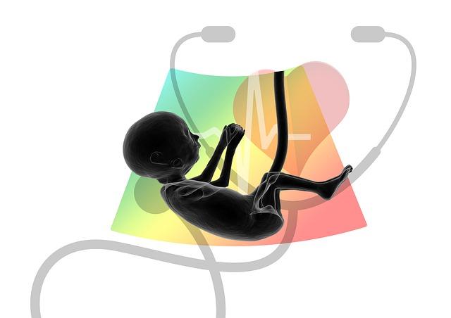 crescimento fetal