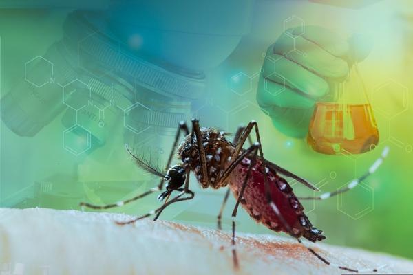 Utilidade do teste rápido dengue duo no diagnóstico precoce de dengue