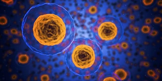 Segurança do uso de TDF para tratamento de hepatite B crônica