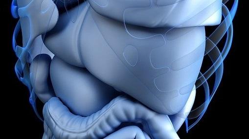 Pegozafermina tratamento promissor para esteato-hepatite não alcoólica