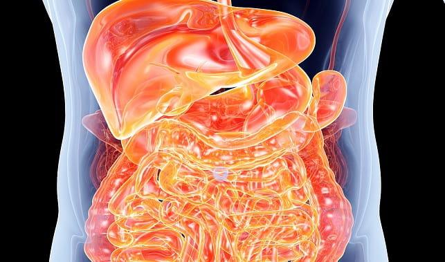 Abscessos Hepáticos Piogênicos Fatores prognósticos