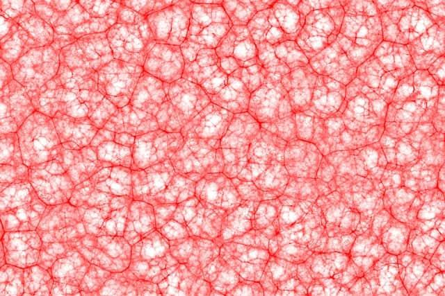 A microbiota afeta a dopamina do seu cérebro