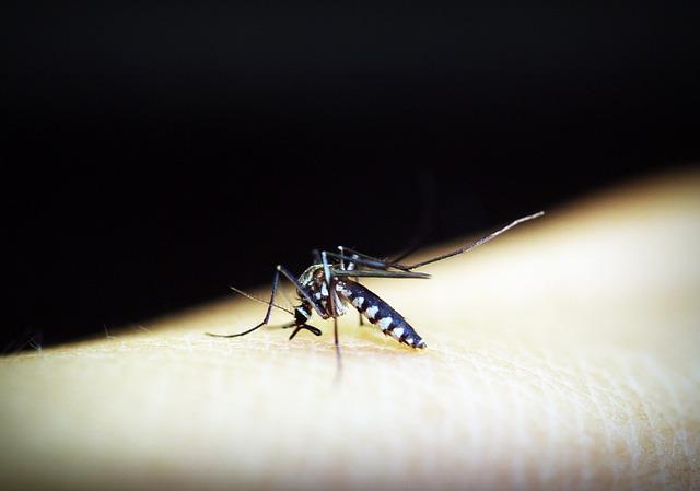 Influência de infecção prévia de Zika em episódios de dengue