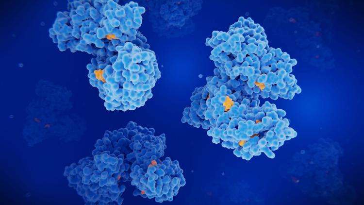 Representação gráfica da molécula de albumina