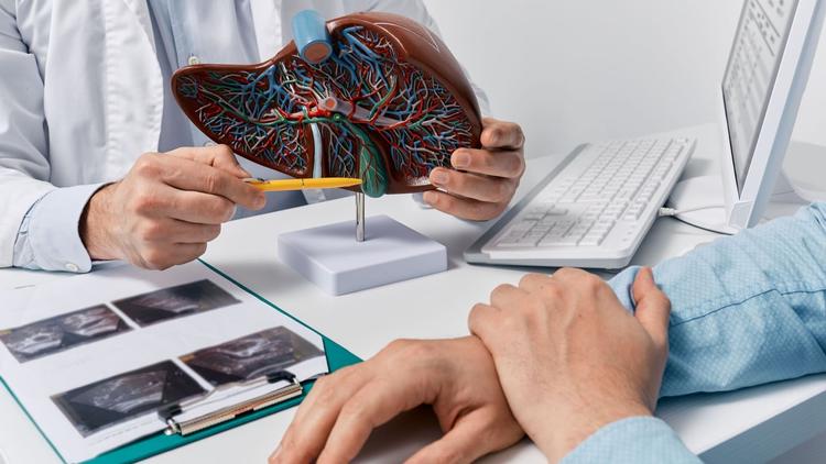 Médico explicando ao paciente sobre a cirrose hepática descompensada através de reprodução em 3D do fígado