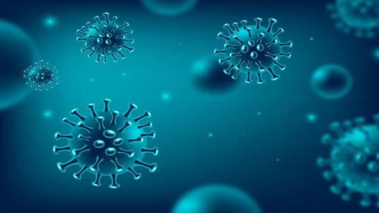 CBUEP 2024: Infecções bacterianas após a pandemia da covid-19 – Como estamos?