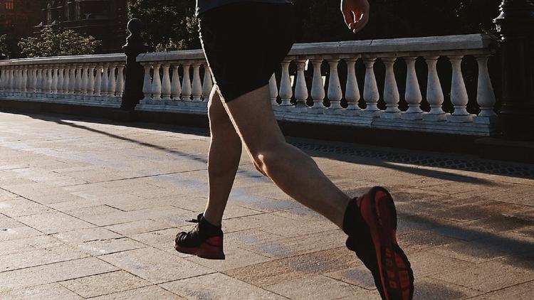 Artrose e a atividade física em pacientes com baixa massa muscular