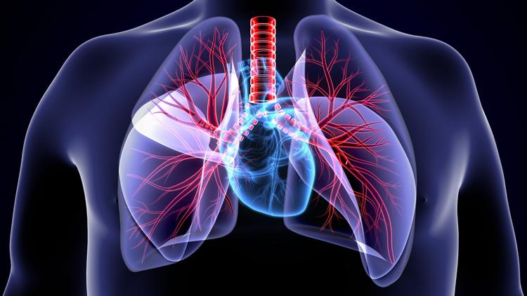 SOCESP 2024: Como usar teste cardiopulmonar em valvopatias e miocardiopatias?