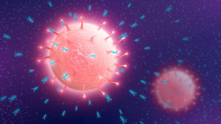 IAS 2024: anticorpos neutralizantes como prevenção de infecção pelo HIV