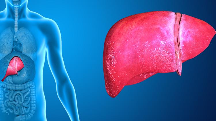 Survodutida traz resultados animadores no tratamento da MASH