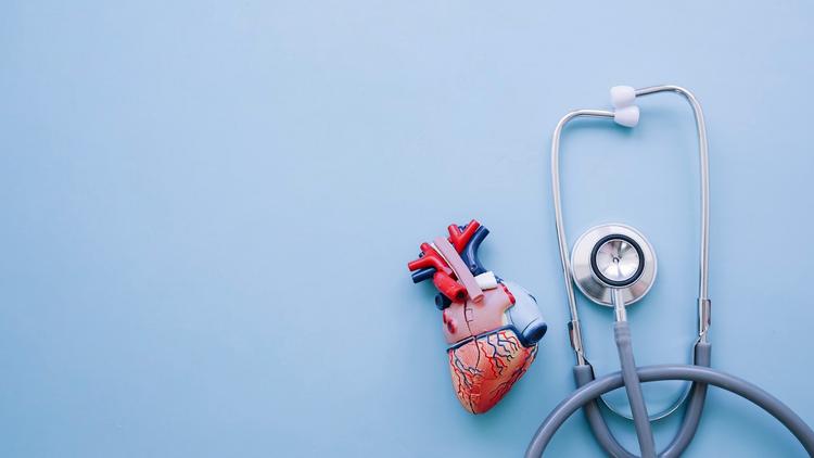 ESC 2024: ICP de lesões coronarianas complexas guiada por OCT