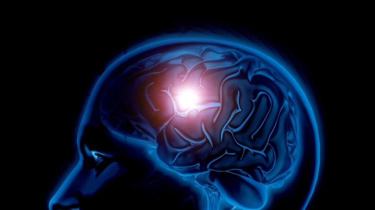 Encefalites agudas Uma revisão sobre a abordagem