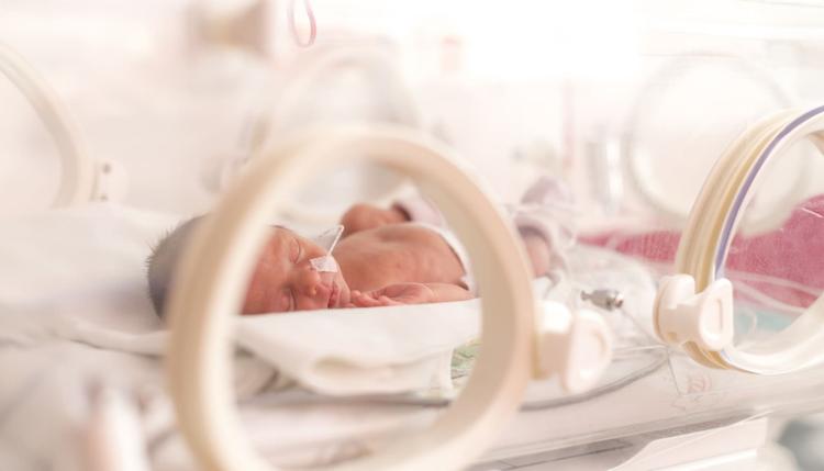 enterocolite necrosante em neonato